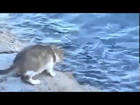 Удачная рыбалка 