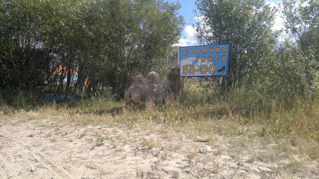 приполярное такси