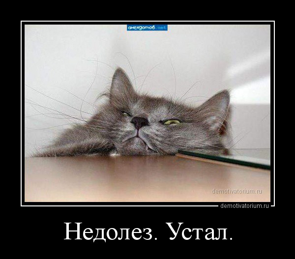 демотиватор