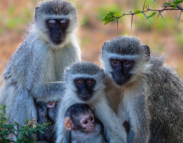 Ко дню влюбленных