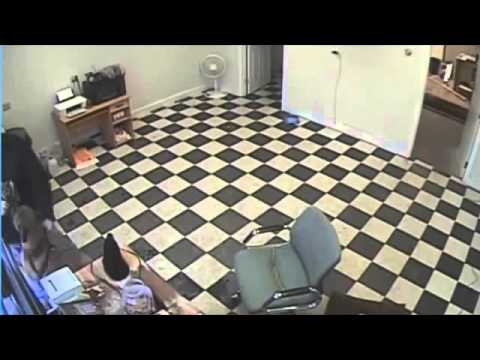  Пёс защищает своего хозяина от нападения