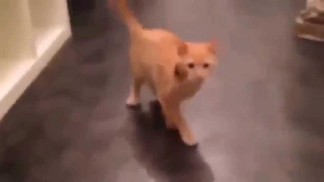 Ждите "ответку". Она не за горами