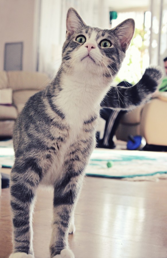 Леденящая душу история