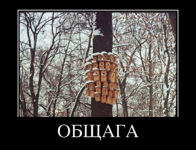 Демотиваторы