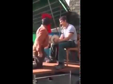 Шустрый петух