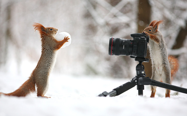 Фотоподборка за 19.02.2015