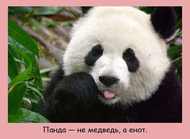 Интересные факты о разном