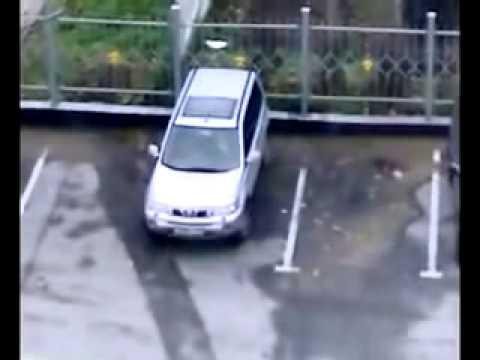 Мужик поставил машину-позитив на весь день