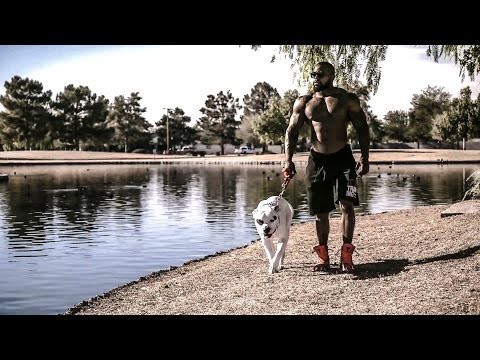 Mike Rashid - Metroflex Warrior [Motivation] 