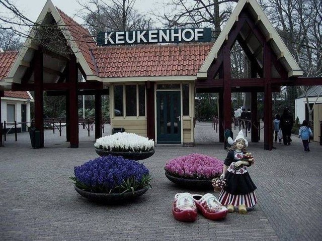 Кекенхоф (Keukenhof) - королевский парк цветов в Нидерландах