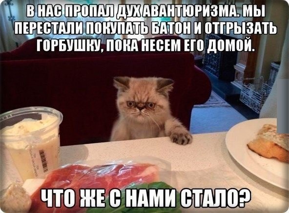 Фото, которые гарантированно поднимут вам настроение!