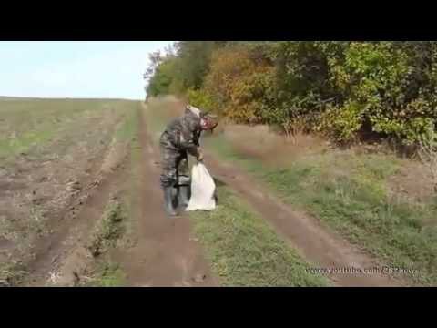 Охотники спасли собаку от верной смерти!