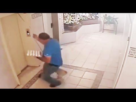 Мужчина пожертвовал яйцами ради спасения собаки