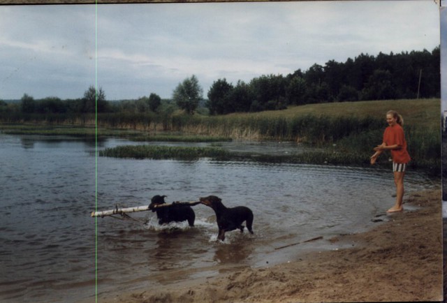 Скучаю по своей собаке