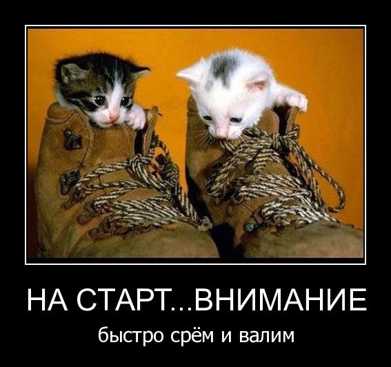 Демотиваторы