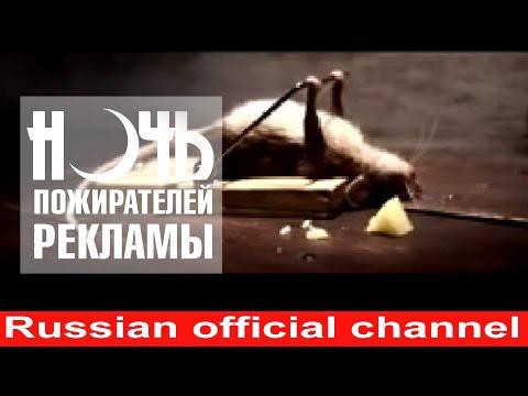 Мышь в мышеловке-прикол
