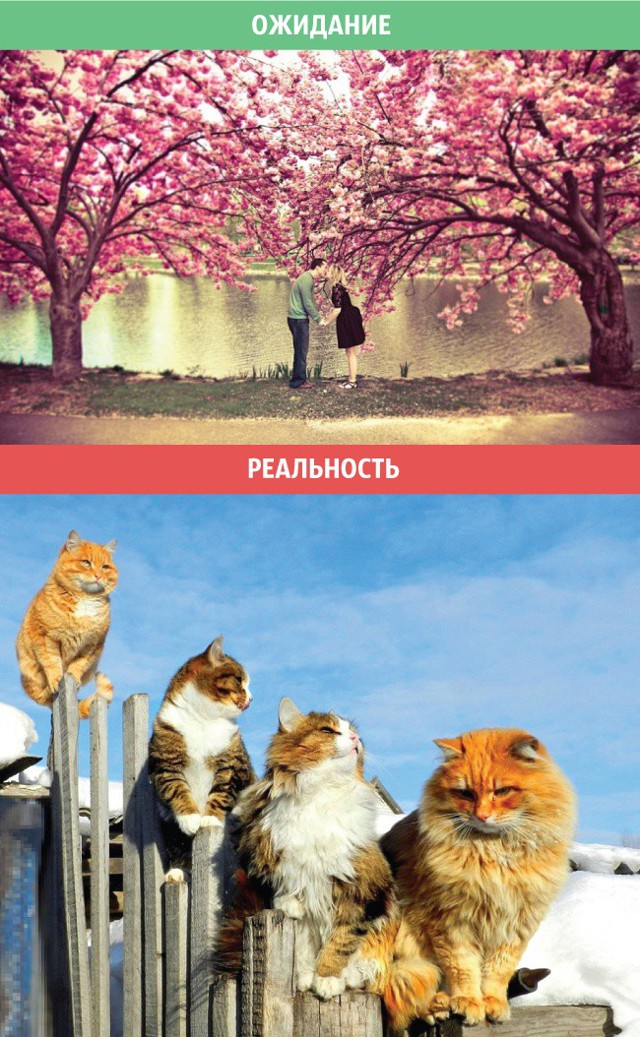 Весенние ожидания и реальность