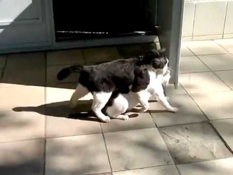 Похищение средь бела дня