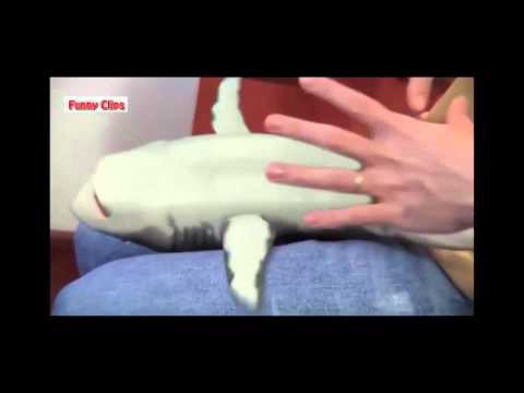 Прикольная акулка