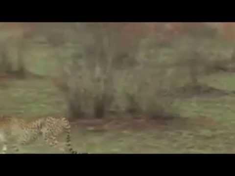 Просто невероятно