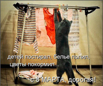 ТОП лучших котоматриц марта и не только...