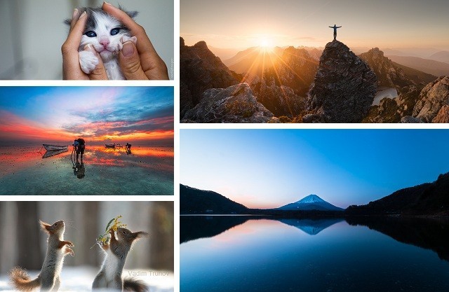 Лучшие фотографии недели