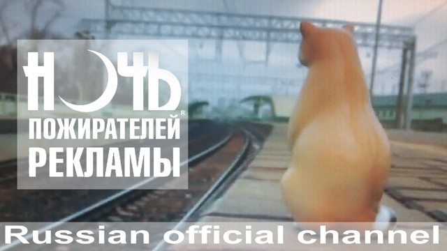 Спасение енота