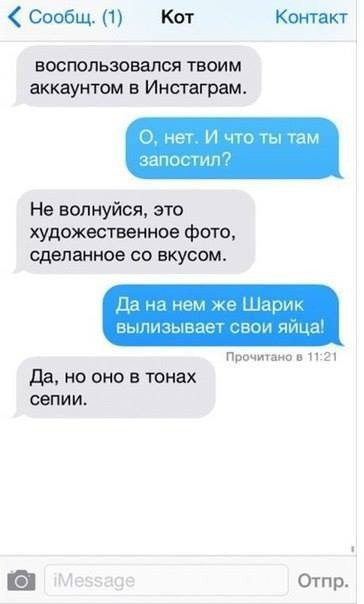 Если бы коты умели писать СМС-ки!