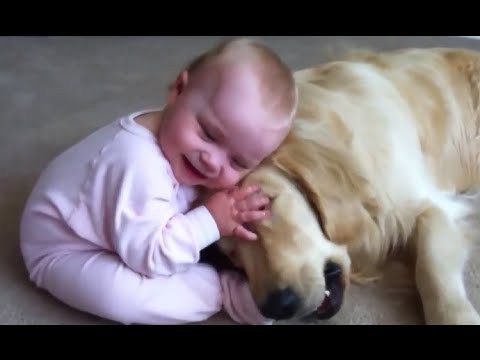 Стальные нервы 