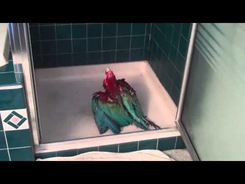 Очередь в душ  