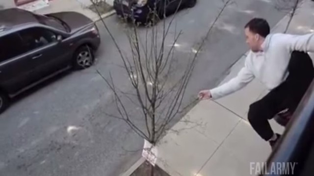 Люди против деревьев