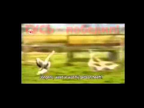 Подборка лучших приколов