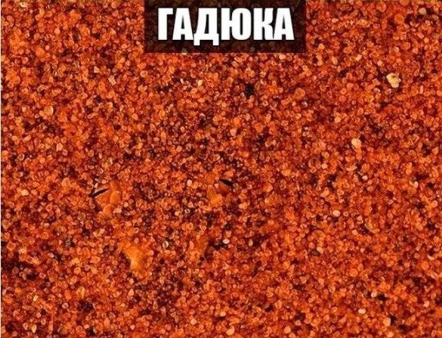 Интересные Фото