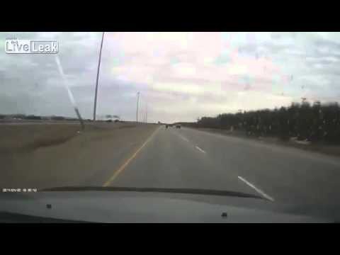 Удачи, Господин Полицейский 