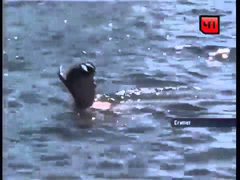 Немного юмора