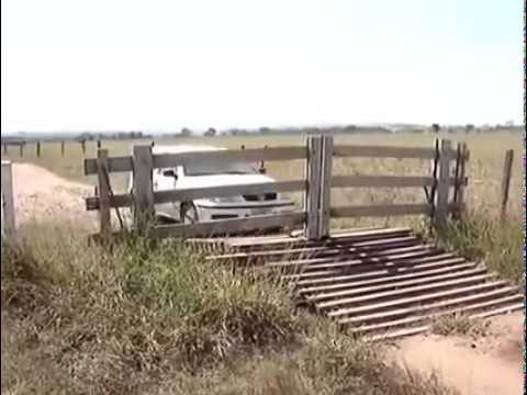 Когда руки растут из правильного места