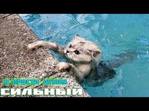 Когда ты сильный духом и ничего не боишься
