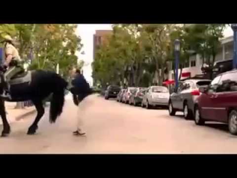 Конь 