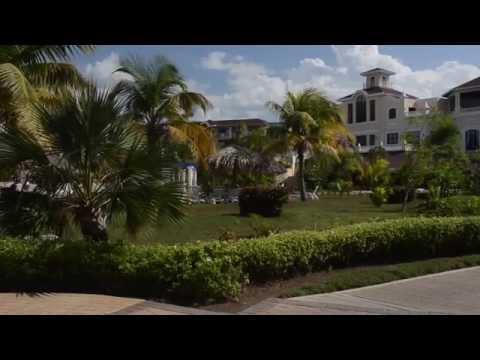 Прыгающие дельфины 