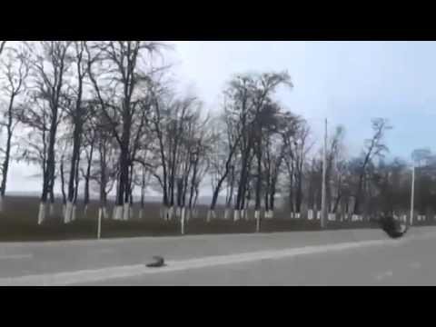  Необычные гонки 