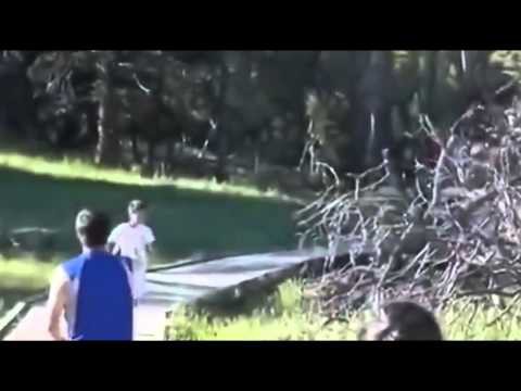  Животные пристают к людям