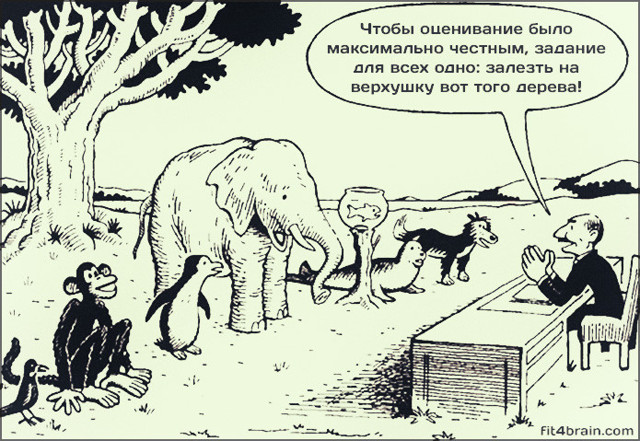 Современная система образования одним изображением