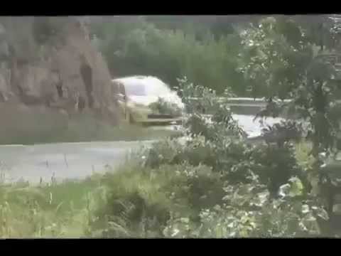 Заяц догоняет раллийное авто