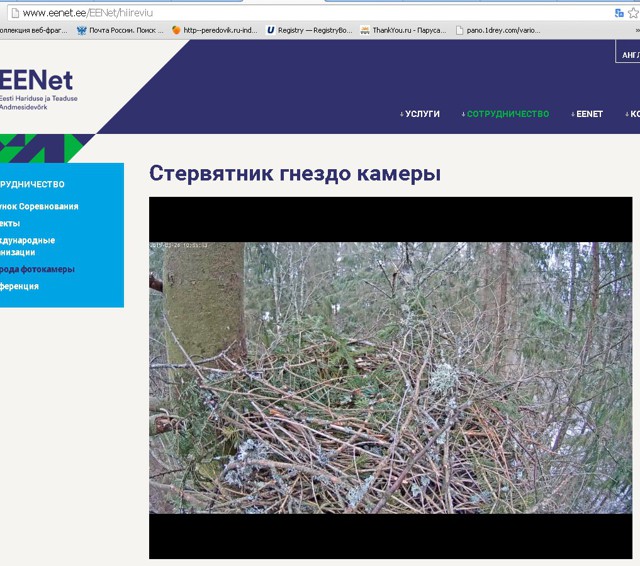 Жизнь продолжается