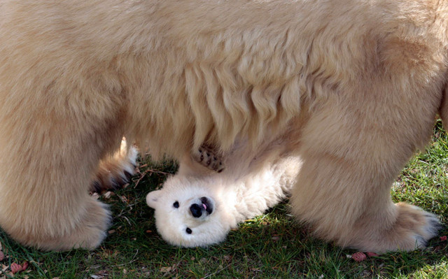 Фотоподборка за 25.03.2015