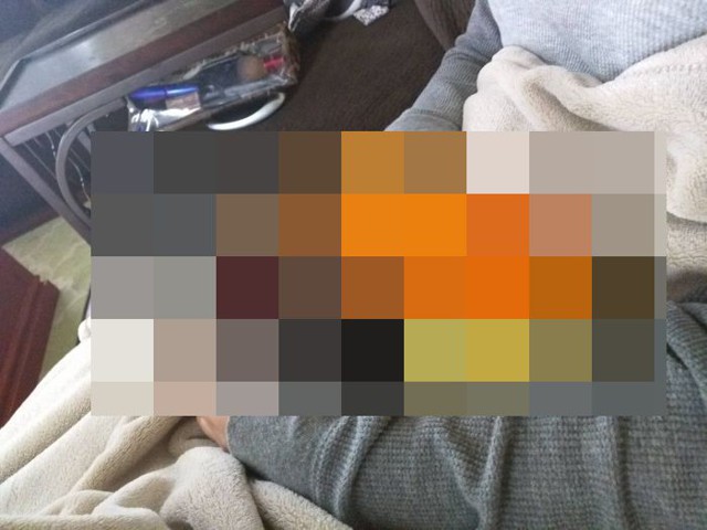 Необычный домашний питомец