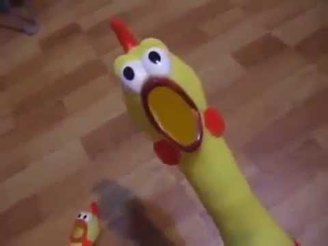 Китайская игрушка курица для собаки 