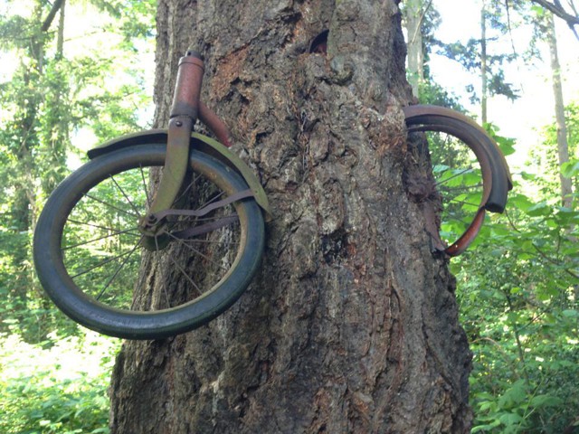 Фотоподборка за 26.03.2015