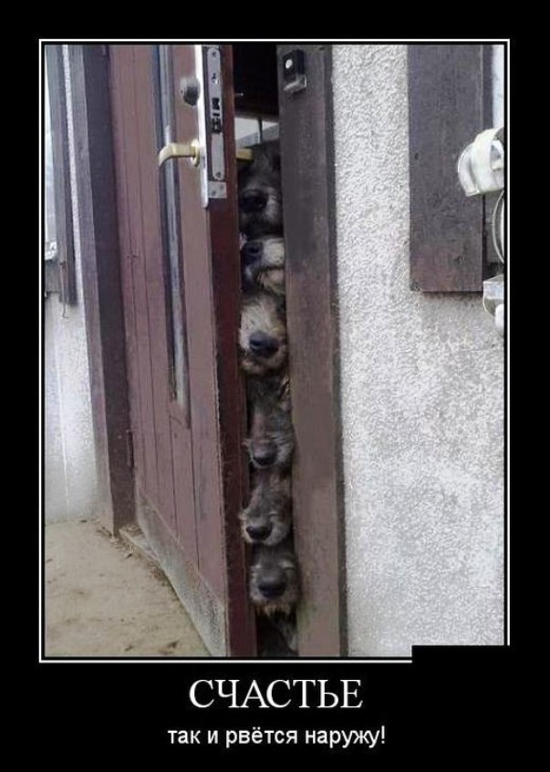 Демотиваторы 