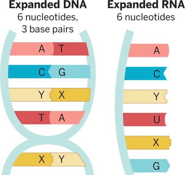 Самые важные научных открытия, сделанные накануне 2015 года